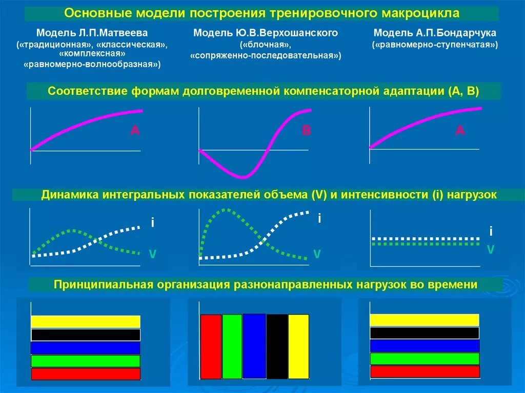 Классическая модель построения тренировочных макроциклов. Построение макроциклов в спортивной тренировке. Модель тренировочного процесса. Формы построения тренировки. Циклы подготовки спортсменов