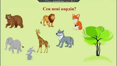 Табиғаттағы жетілген Мэри Иванна 18-сурет