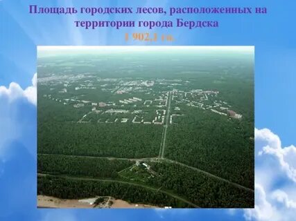 Проект город бердск