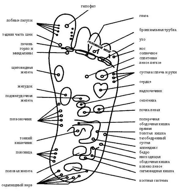 Массажные точки на ступнях ног схема. Массаж ног схема. Активные точки на стопе. Массажные точки на ногах. Значение правой ноги