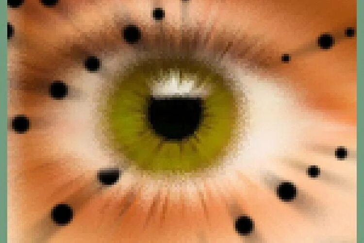 Плавающая черная точка в глазу что это. Мушки перед глазами. Елькание «мушек» перед глазами. Чёрные точки в глахзах.