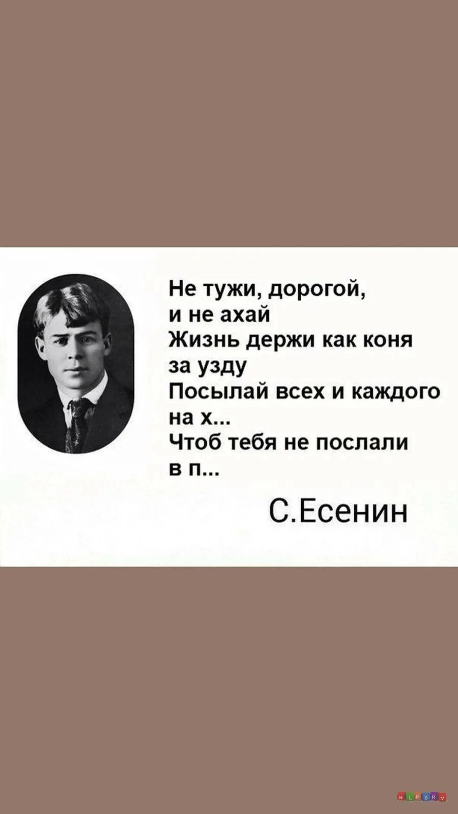 Не тужи дорогой и не ахай. Есенин стихи не пришла ты ночью не пришла ты днем. Сергей есенин стихотворение ветер веет с юга и луна взошла. Ветер веет с юга и луна взошла есенин. Ветер с юга есенин стихи есенина.