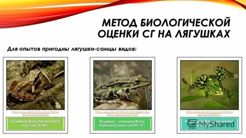 методы оценки биоразнообразия