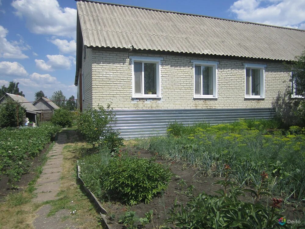 Овчарное Нижнеломовского района. Село Овчарное Пензенской области. Село Овчарное Нижнеломовский район. Село верхний Ломов. Авито дома нижний ломов купить