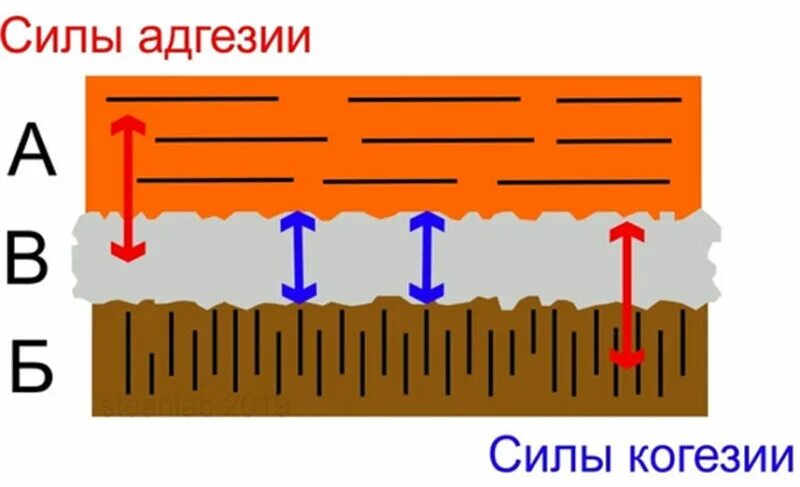 Адгезия клея. Адгезия и адсорбция. Силы адгезии и когезии.