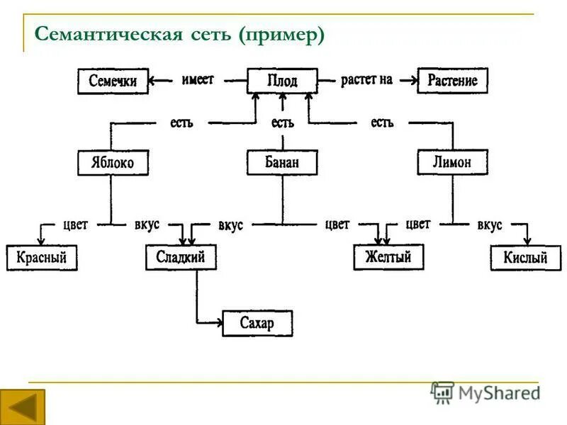 дети сети примеры
