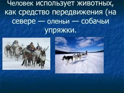 Как человек использует животных