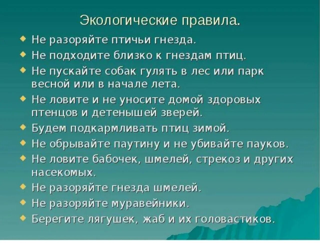 Правила экологии. Правила экологической безопасности. Памятка об охране природы. Экологические правила для школьников.