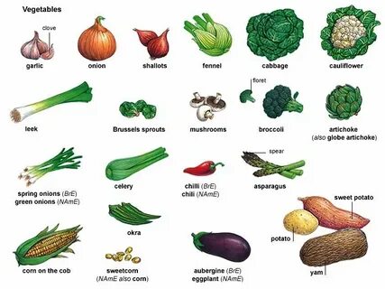 Как переводится vegetables