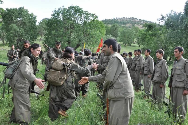 Pkk search