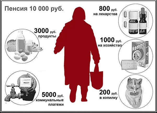 3000 рублей в месяц. Как выжить на пенсию. Как прожить на пенсию в России. Как выжить на пенсию в России пенсионеру. Как прожить на пенсию 12000.