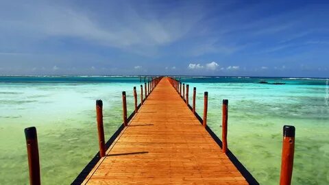 Sea long