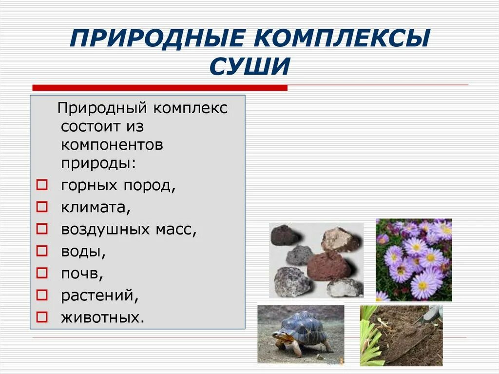 1 состоят из природных. Природные комплексы суши. компоненты природных комплексов суши. природно территориальные комплексы суши и океана. география природные комплексы суши.