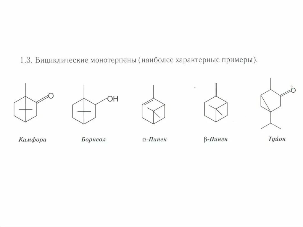 Пинен это. Пинен формула. Бициклические монотерпеноиды. Реакционная способность камфоры. Бициклические монотерпены формулы.