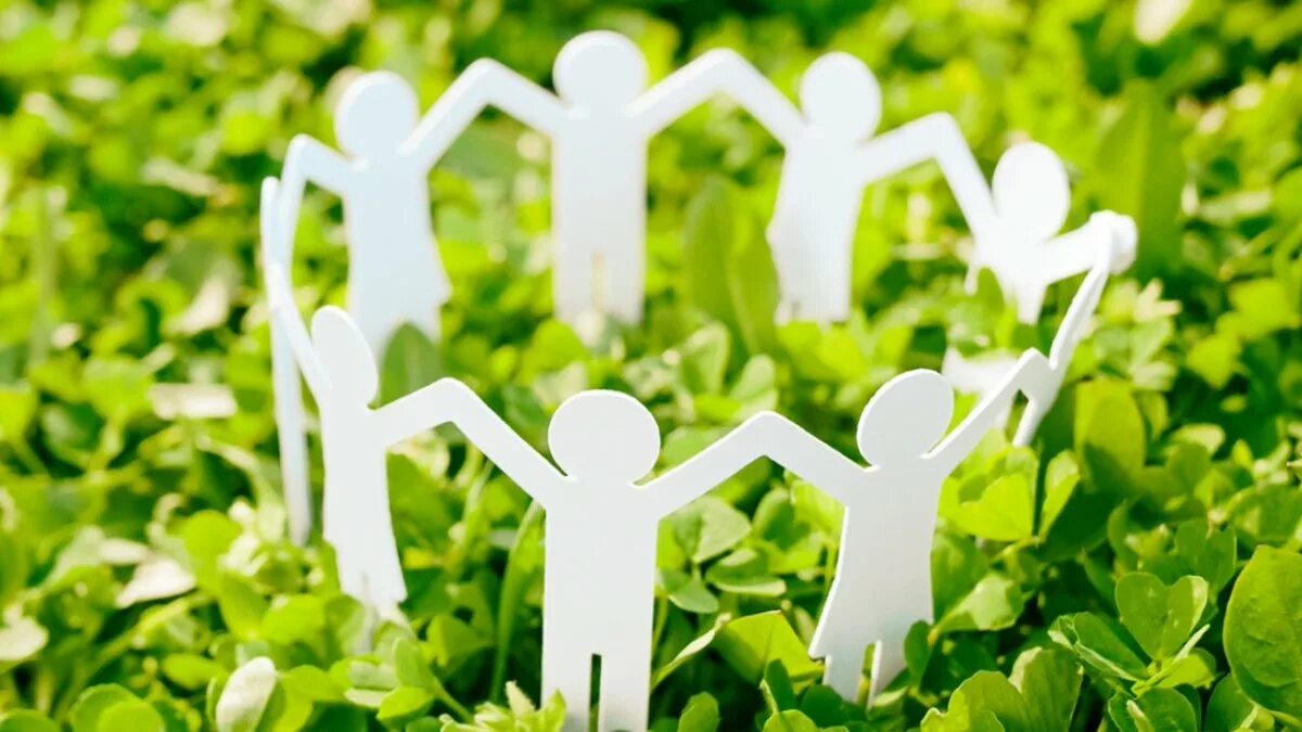 Деньги и экология. Море денег. Благополучие территории. Благополучие территории. Денежное дерево с купюрами.