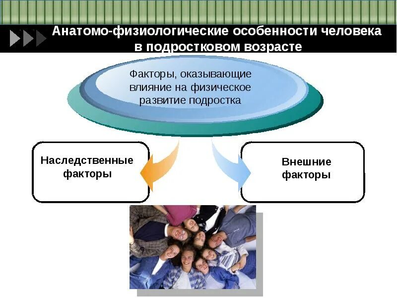 Атомно физиологические особенности человека. Анатомо-физиологические особенности человека. Анатомо-физиологические особенности подросткового возраста. Анатомо-физиологические характеристики человека.