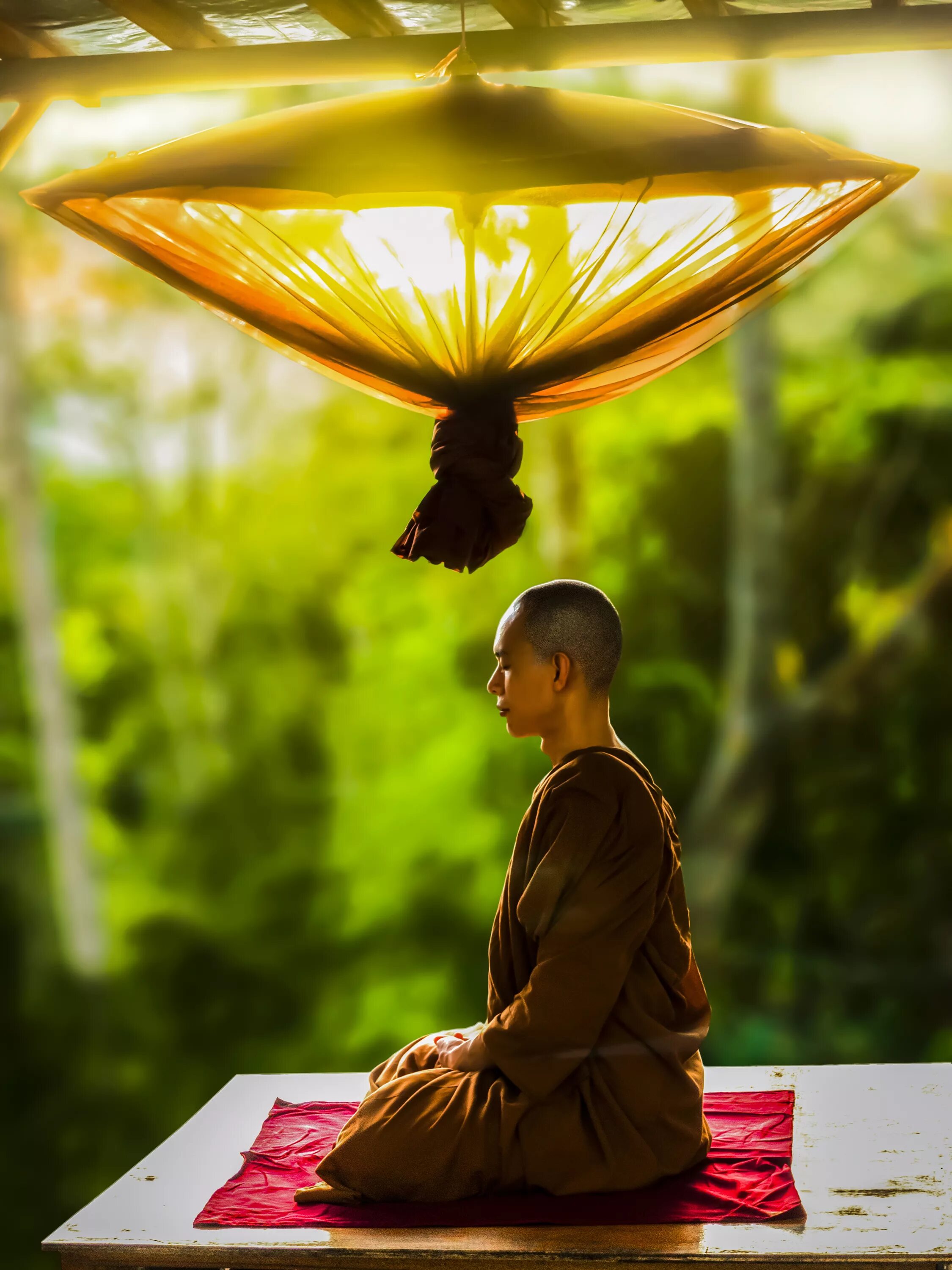 Созерцать жизнь. Будда Тхеравада. Будда медитация. Буддийский монах Тхеравада. Буддизм дзэн буддизм.
