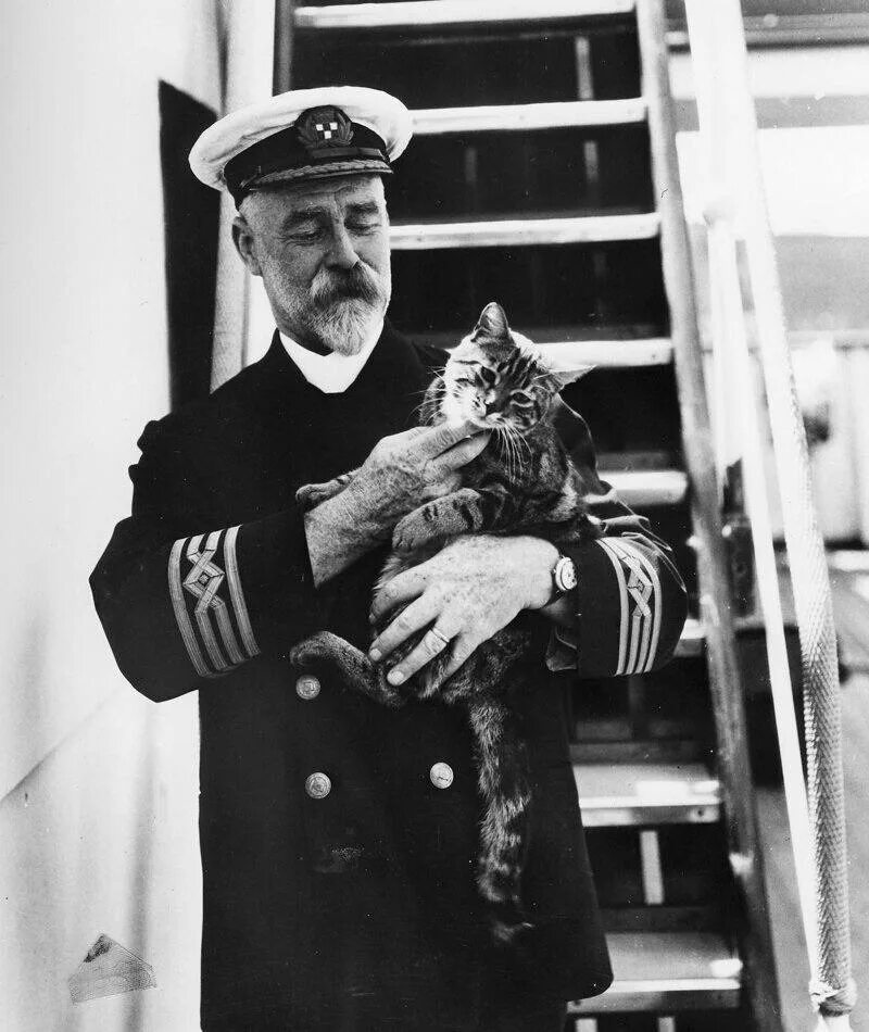 Корабельный кот. Непотопляемый Сэм (Оскар). Кошка на корабле. Кот моряк. Кот Капитан корабля.