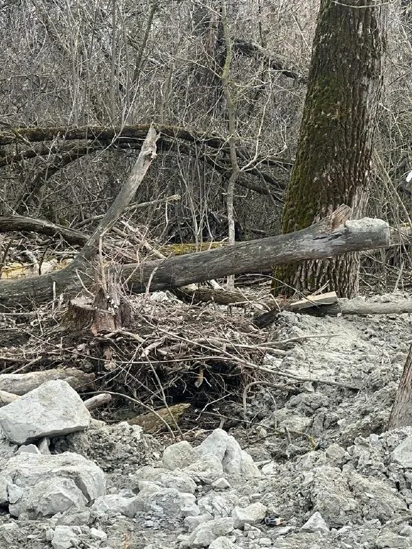 пульс дона телеграмм канал