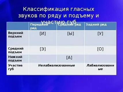 Заднего ряда верхнего подъема лабиализованный