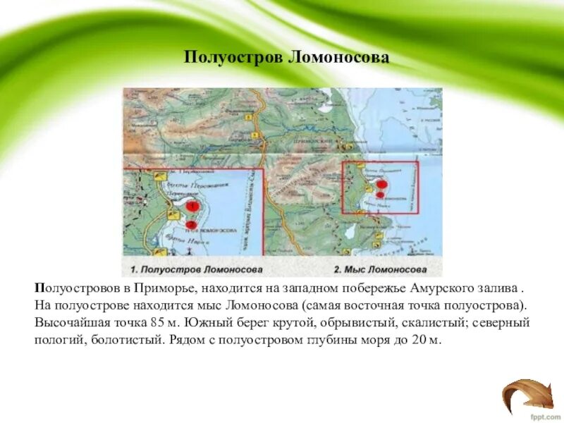 На северо востоке расположен полуостров. Полуостров Ломоносова на карте. Мыс Ломоносова на карте. Где находится мыс Ломоносова. Полуостров Ломоносов.