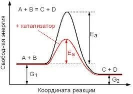 Как влияет катализатор на равновесие