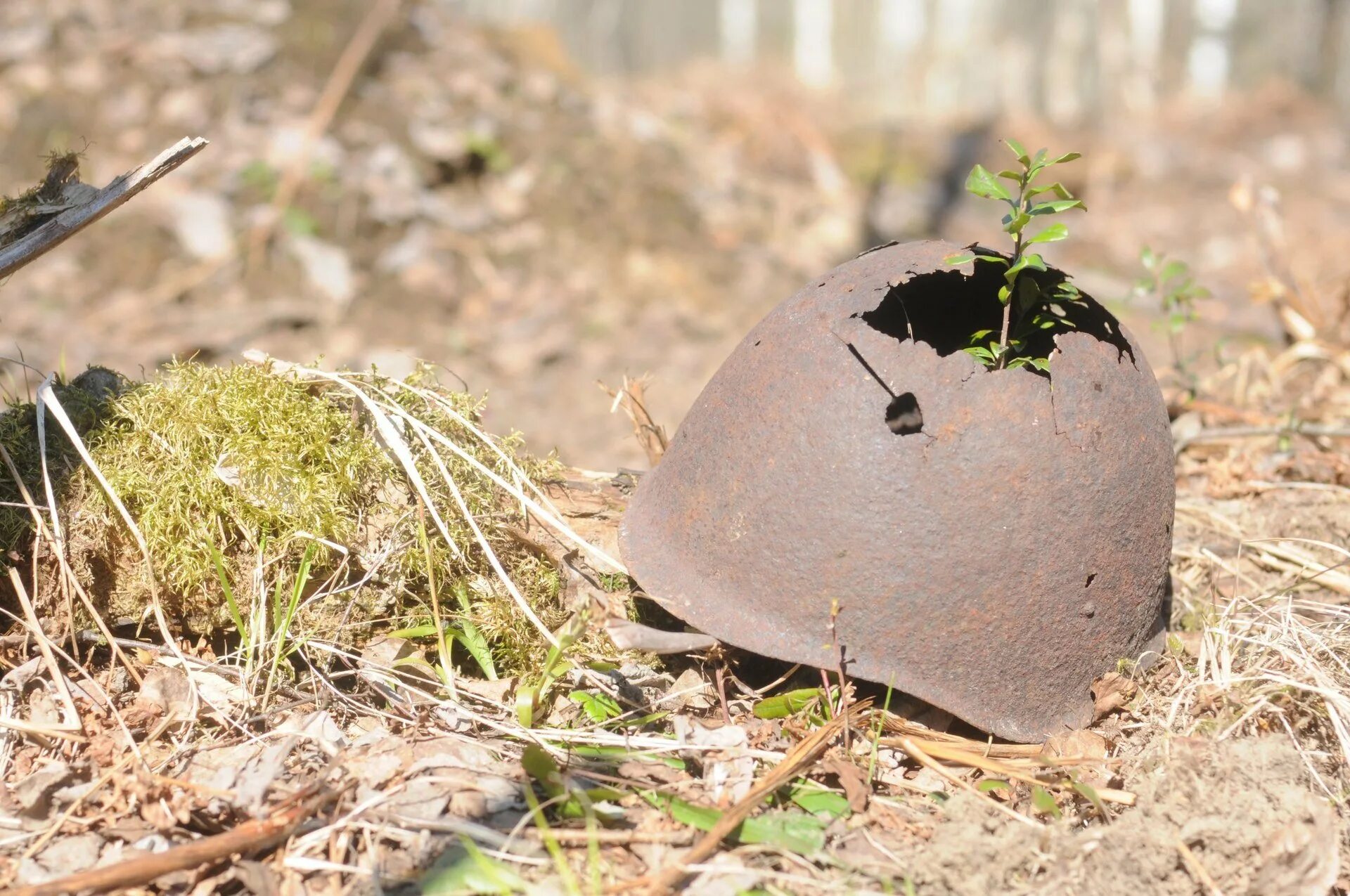 Поисковые отряды раскопки. Братские могилы солдат вов. Солдатская каска. Торжественное захоронение останков солдат вов. Памятник павшим воинам.