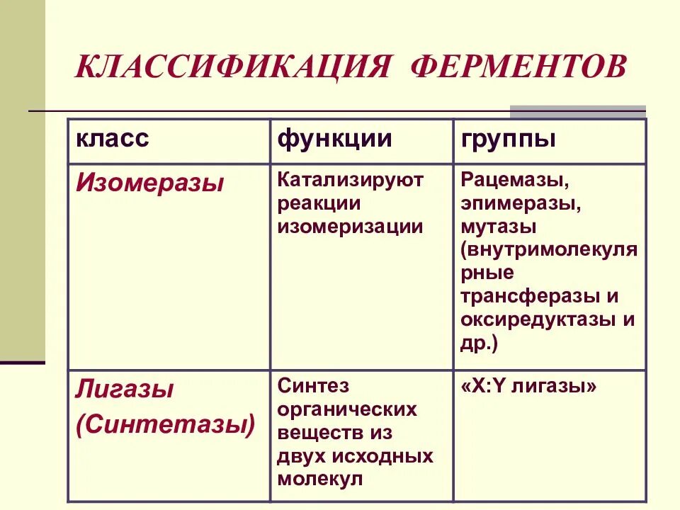 К группе ферментов относится. Классификация ферментов. Классификация ферментов лигазы изомеразы. Изомеразы класс ферментов. Изомеразы примеры ферментов.