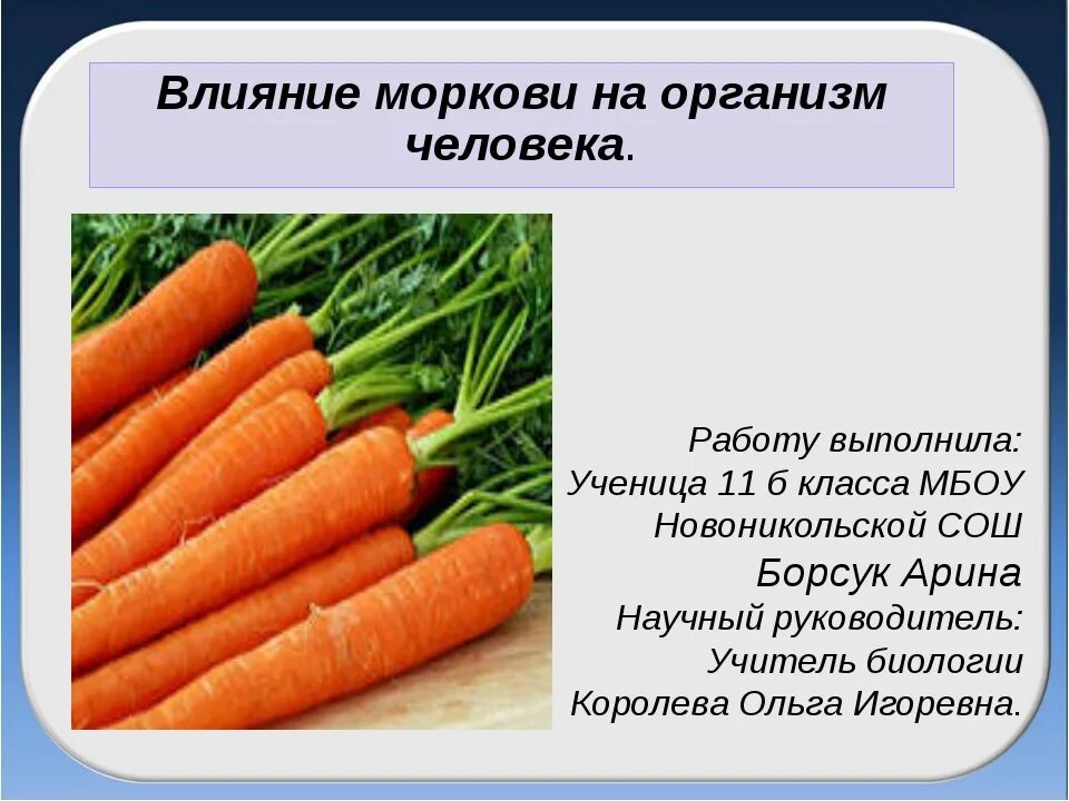 Морковь. Влияние моркови на организм. Полезные свойства морковки. Морковь чем полезна для человека.
