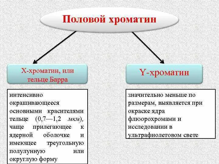 Под полой значение