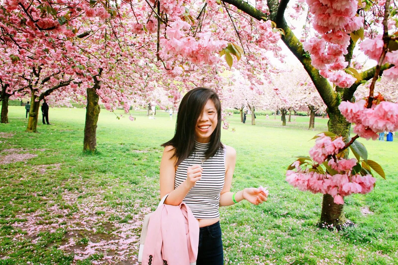 Вечноцветущая Сакура. Cherry Blossom стиль Murakami. Сакура ББИЗ оддеежжди. Фотосессия с сакурой. Сакуры человека