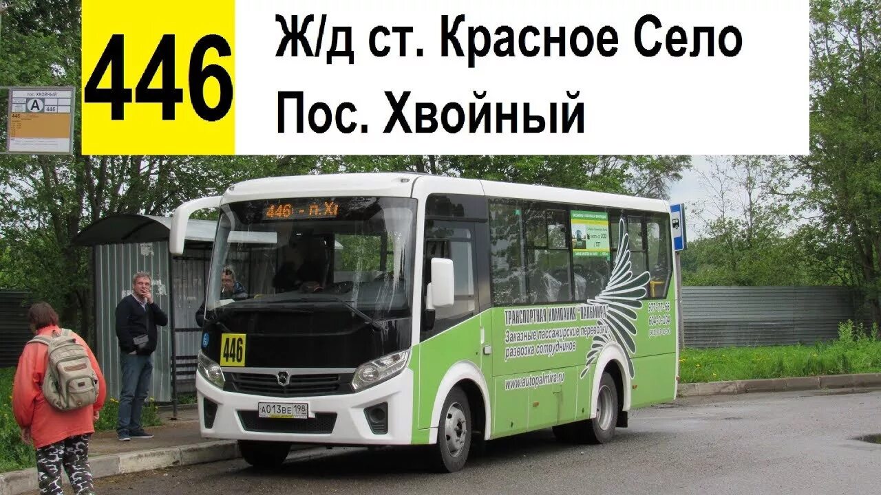 Расписание 446 автобуса красное село хвойный. Автобус 446. Автобус 446 красное село. Маршрутка 446 красное село хвойный. Автобус 446 хвойный