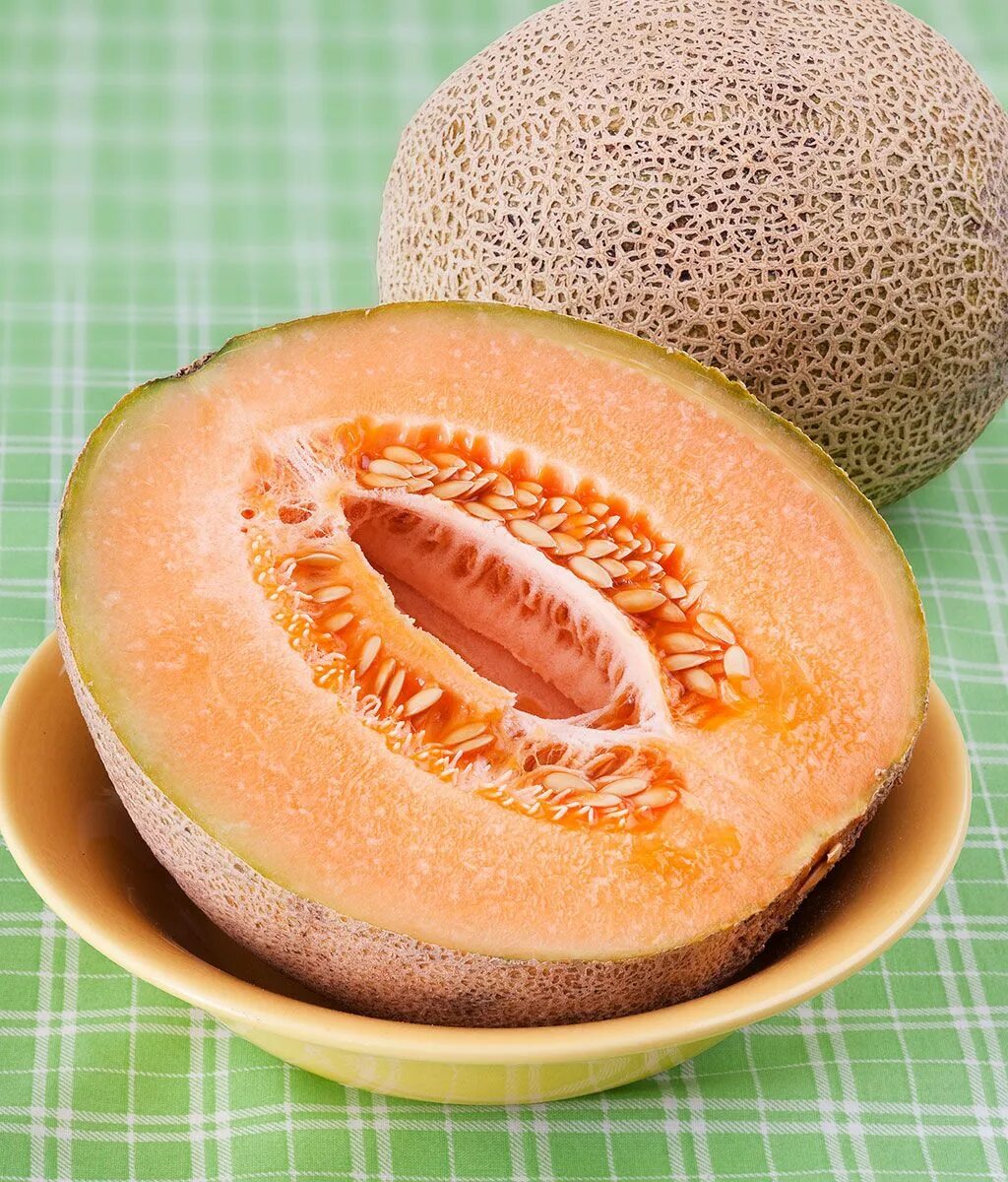 Мускатная дыня канталупа. Канталупа что это. Дыня канталуп. Дыня канталупа апельсин f1. Канталупа мускусная дыня.