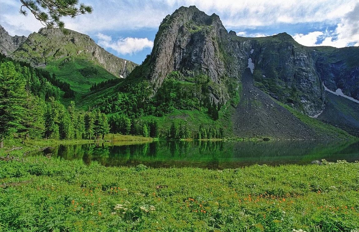 Самая живописная природа в россии. Алтайский край горный Алтай. Гора балтырган горный Алтай. Медвежья гора Алтай. Чемал горы Тайга вершины.