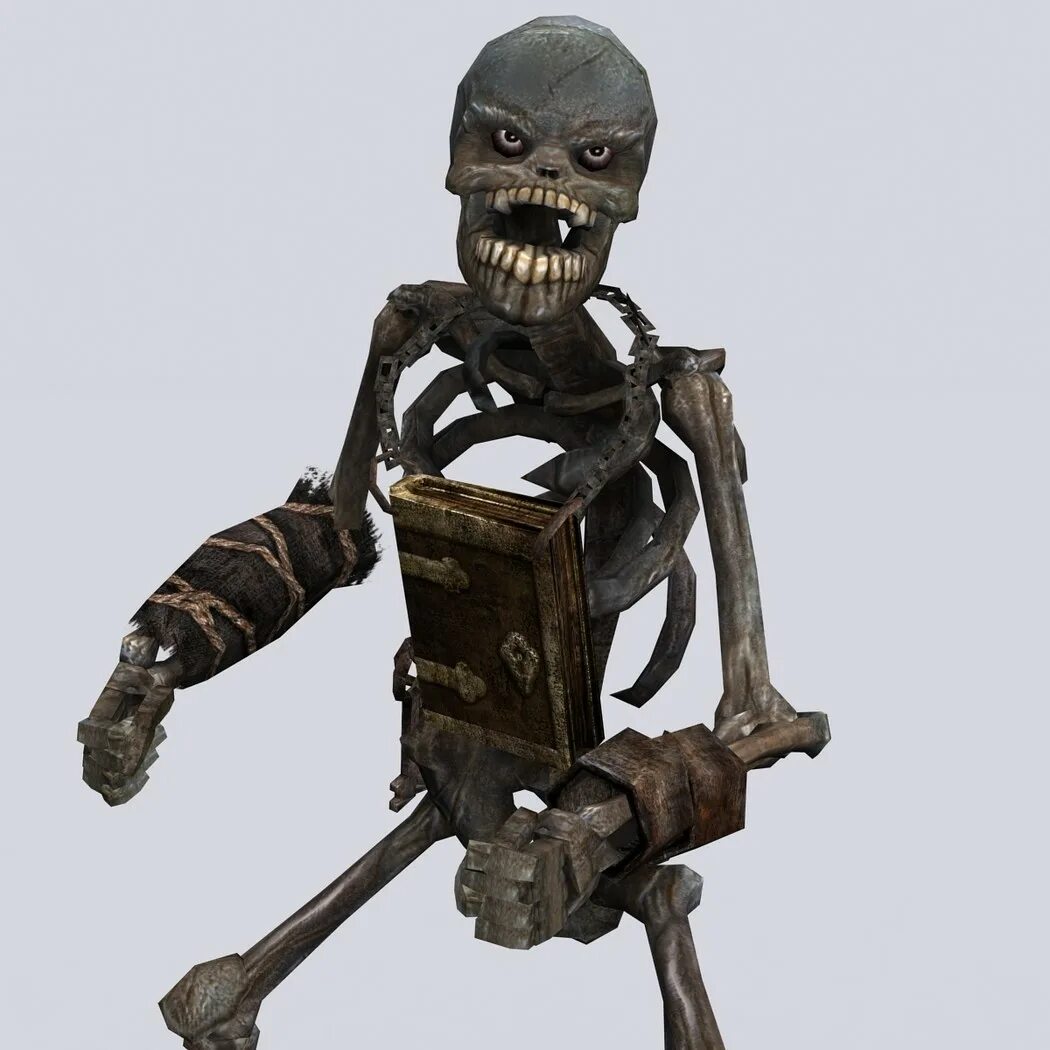 Unity bones