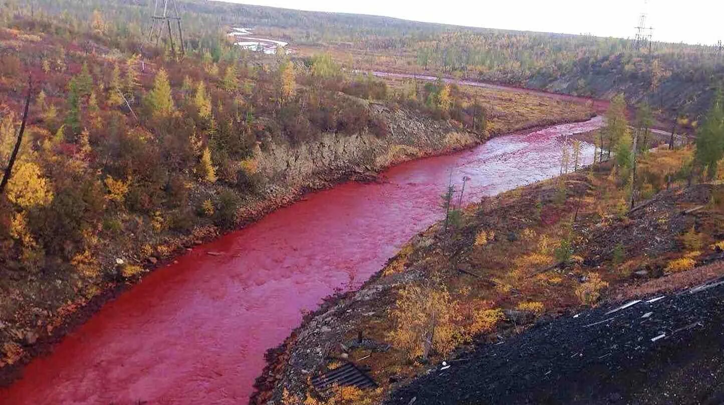 Река Далдыкан в Норильске. Красная река Далдыкан. Кровавая река Далдыкан Норильск. Норильск красная река Далдыкан.