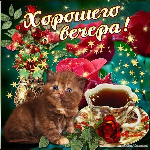 Добрый вечер картинки с котятами. Добрый вечер с кошками. добрый вечер с котиками. хорошего вечера котики. добрый вечер с котятами.