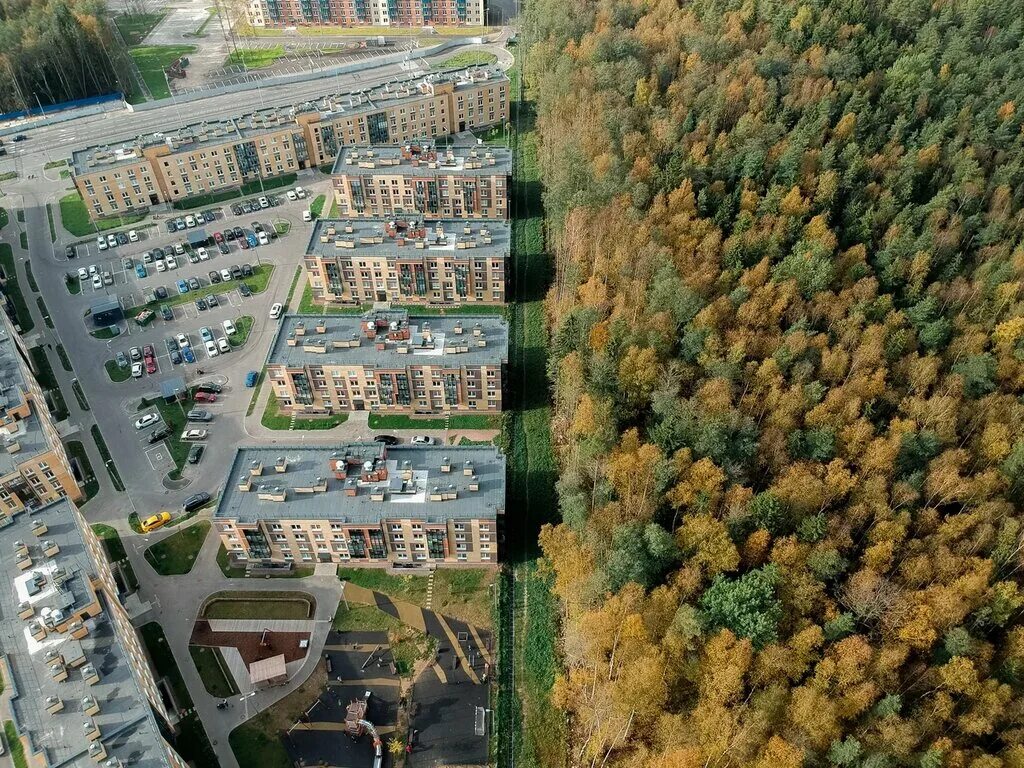 юнтолово жилой комплекс главстрой. юнтолово стройка. юнтолово корпуса. юнтолово 6 очередь 5 корпус. юнтолово корпуса.