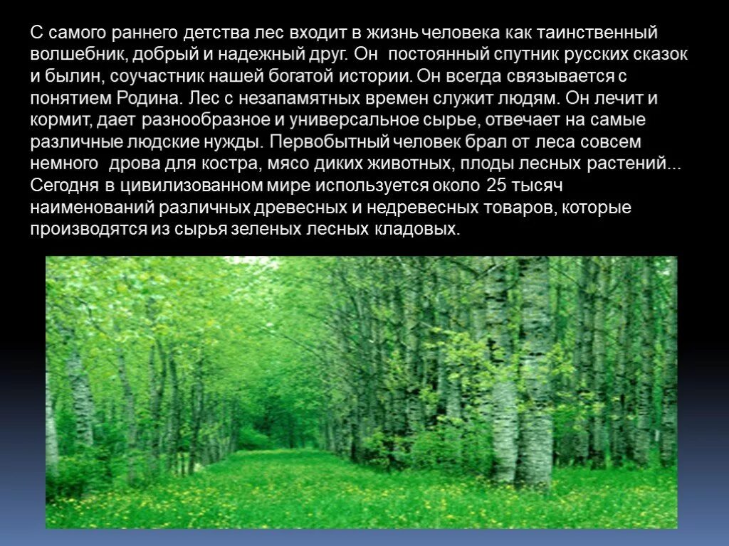 Почему лес называют сообществом 2 класс рассказ. Презентация на тему лес. Сообщение о лесе. Лес для презентации. Леса России презентация.
