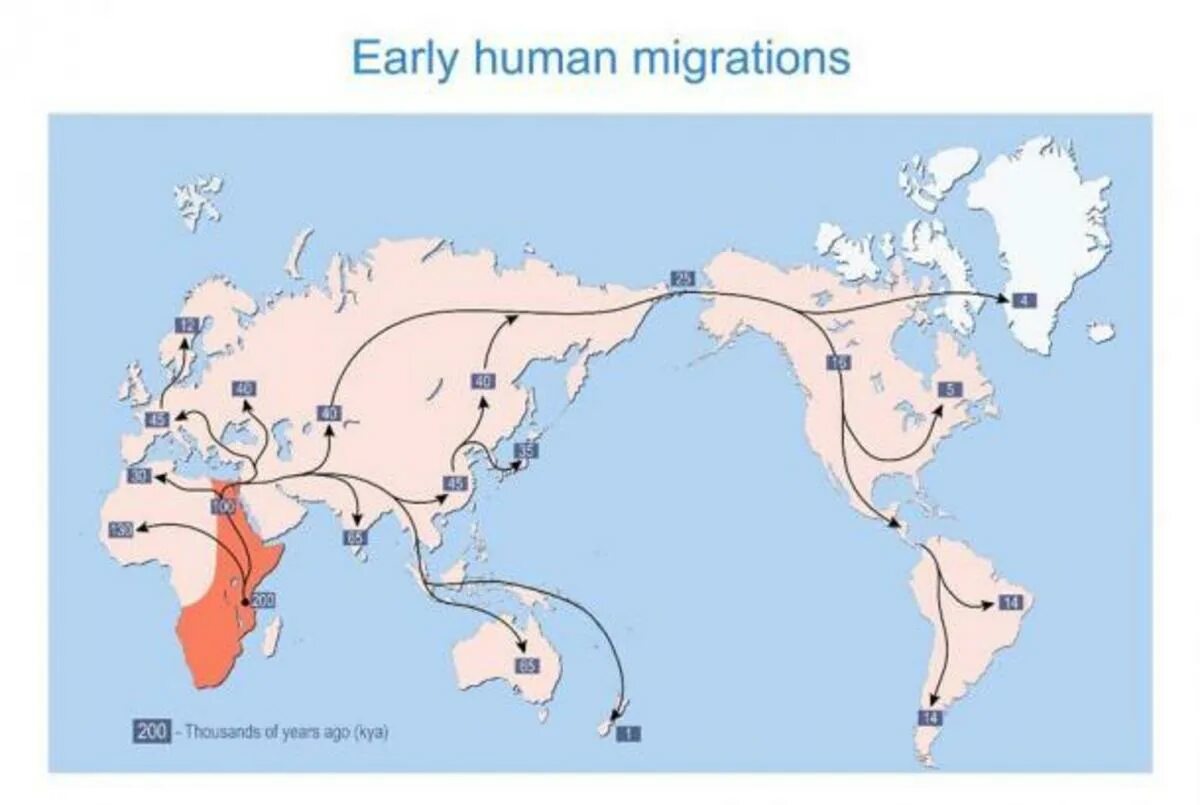 Go migrations