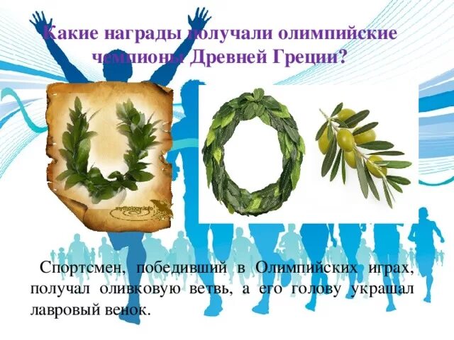 Каким венком награждали победителей. Венок победителя олимпийских игр в древней греции. олимпийские игры в древней греции венок. олимпийские игры в древней греции награждение победителей. награды венок олимпийских игр в древней греции.
