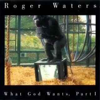 God wants