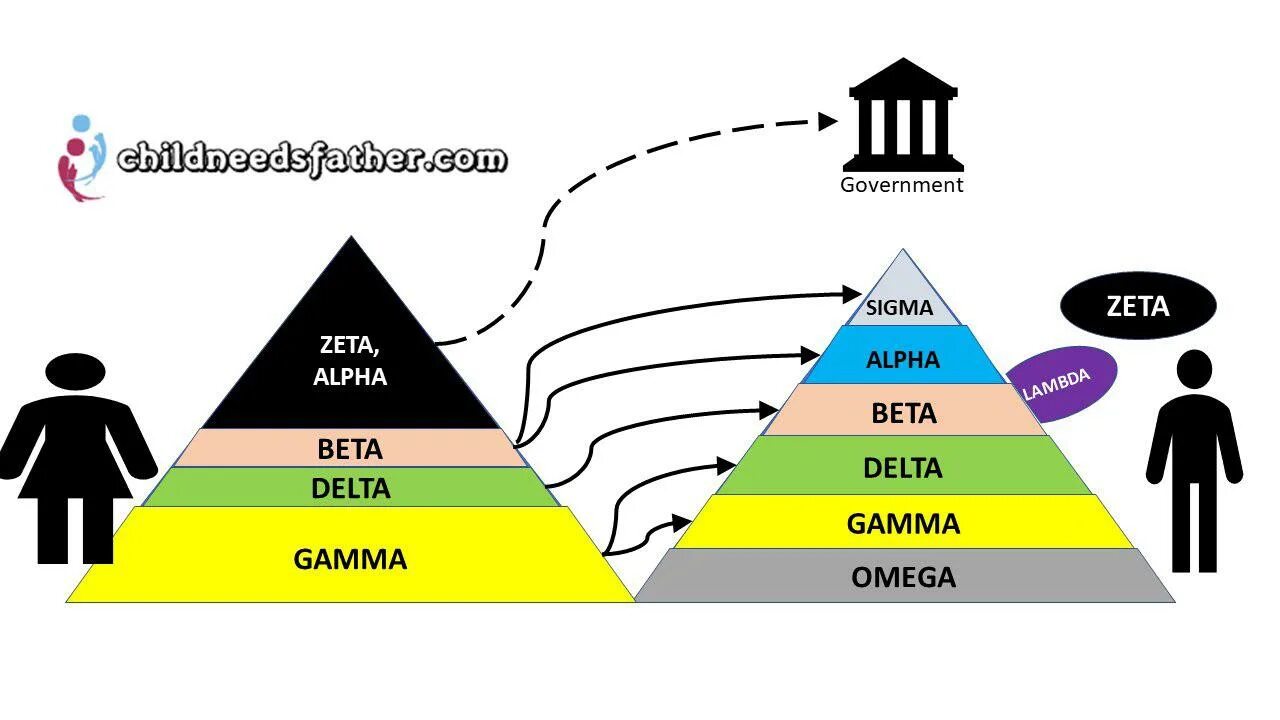 Alpha Beta Omega Sigma. Иерархия Альфа бета. Иерархия Альфа бета гамма Омега. Мужчины Альфа бета гамма Омега Дельта Сигма.