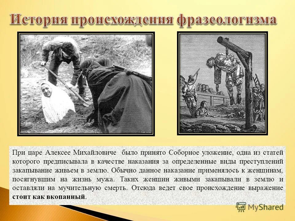 Петр i великий, 1717. Церковная реформа петра 1 прокопович. При царе были приняты. Церковная реформа петра первого дата. Пётр 1 император россии.