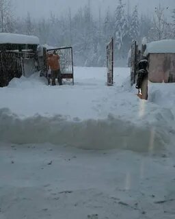 Погода в алдане на неделю