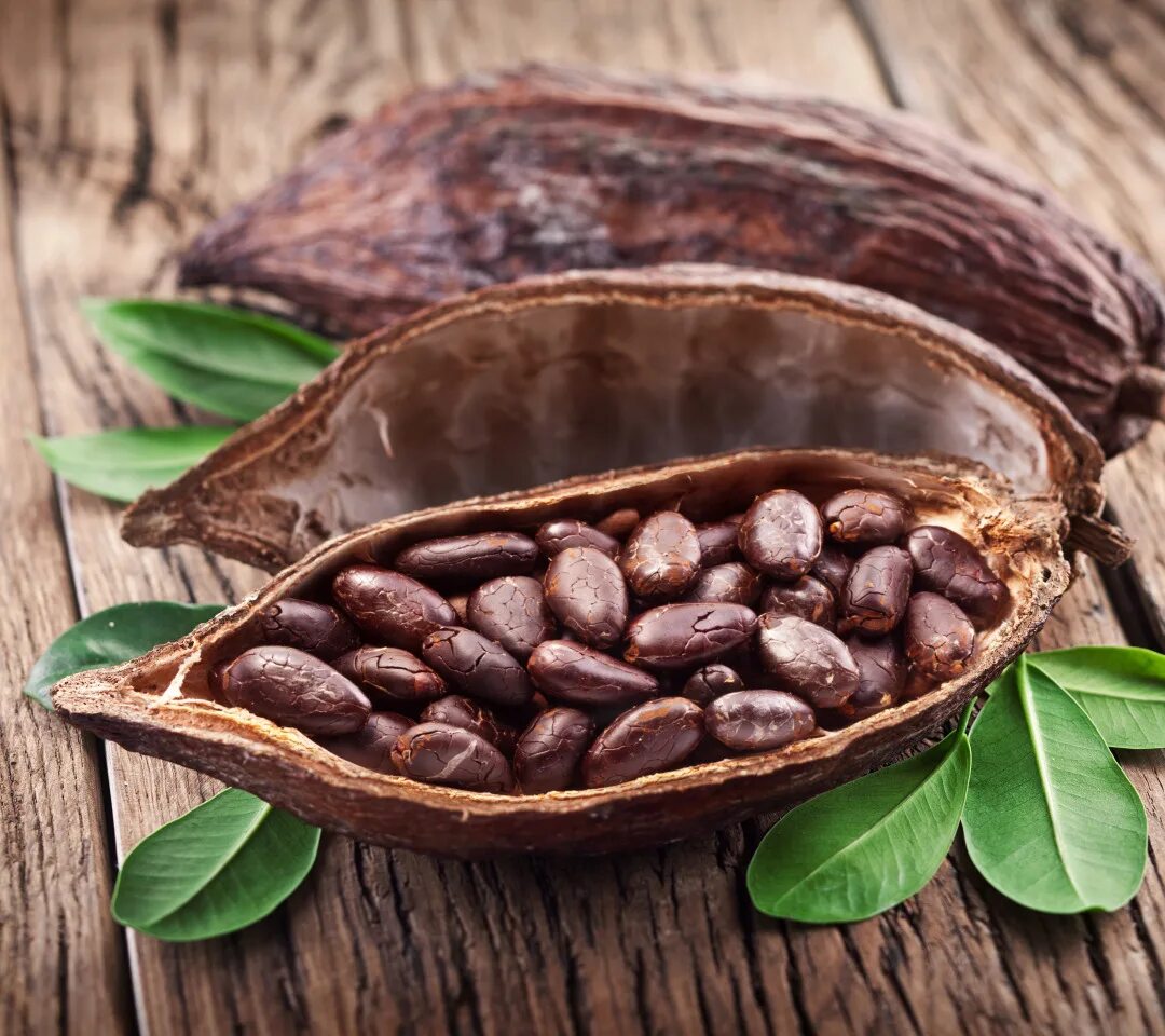 Зерна шоколада. Шоколад какао Бобы. Шоколадное дерево (Theobroma Cacao). Тринитарио какао Бобы. Какао дерево какао Бобы.