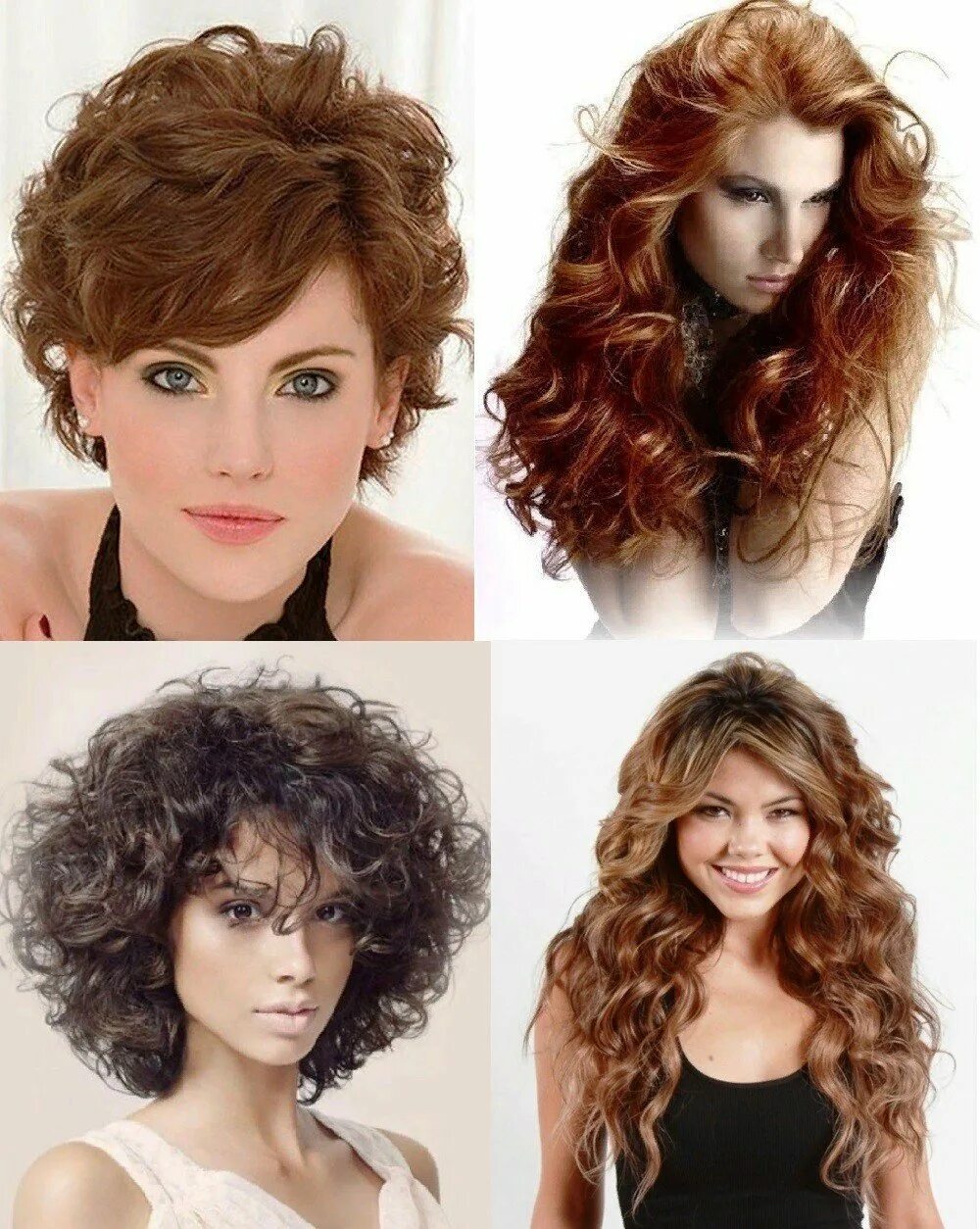 кудри на каскад. каскад на средние кудрявые. стрижка каскад и дебют. стрижка каскад на кудрявые волосы средней. каскад на средние кудрявые.