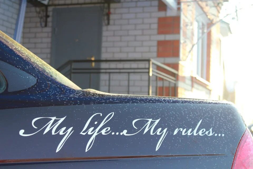 My Life my Rules BMW. Гроб my Life my Rules. Май лайф май рулез. My Life my Rules Мем.