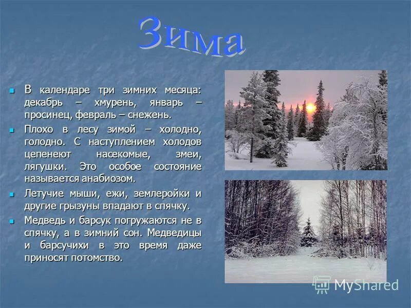 Сочинение на тему зимний день