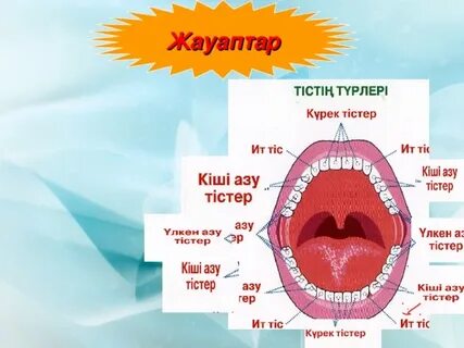 Желідегі порно: үлкен құлыншақ